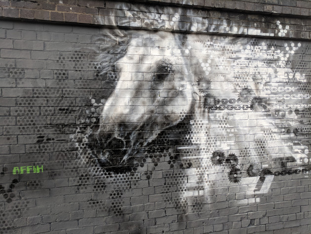 Mural of a white horse